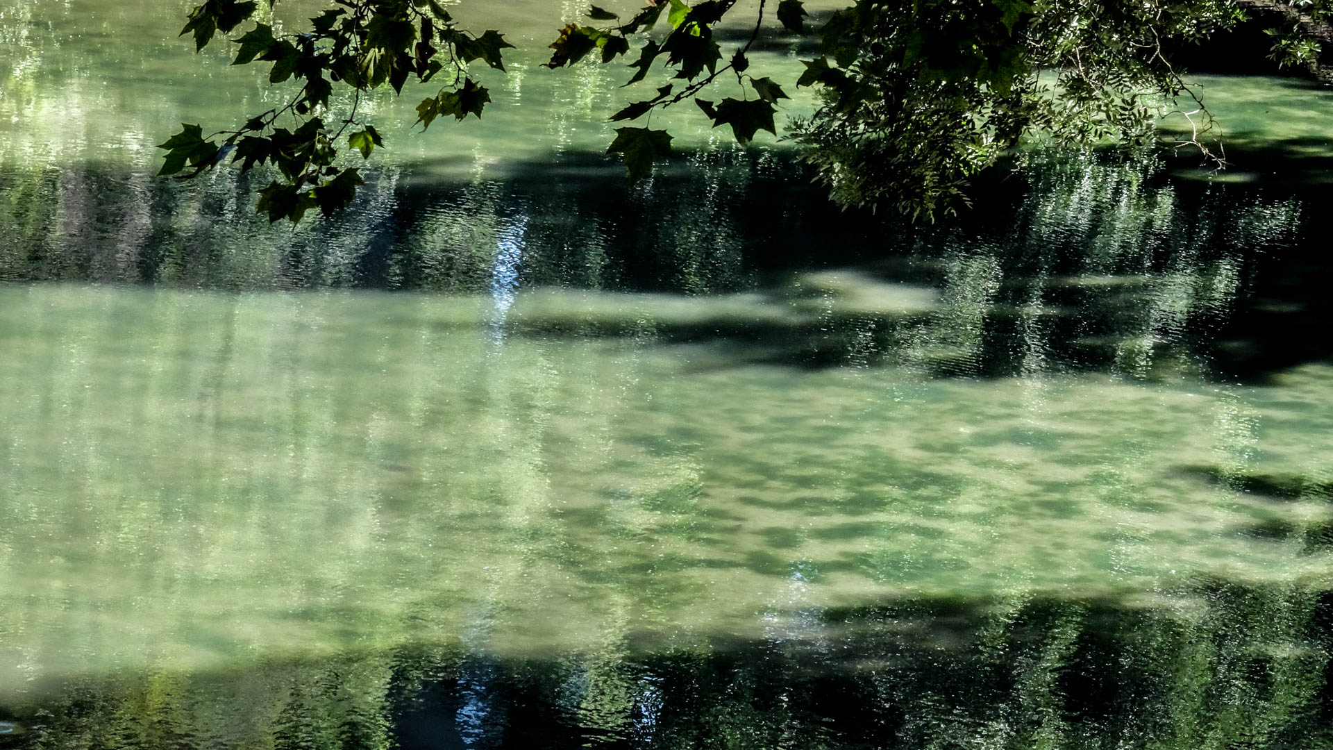 2013-09-04 13-28-30 BP